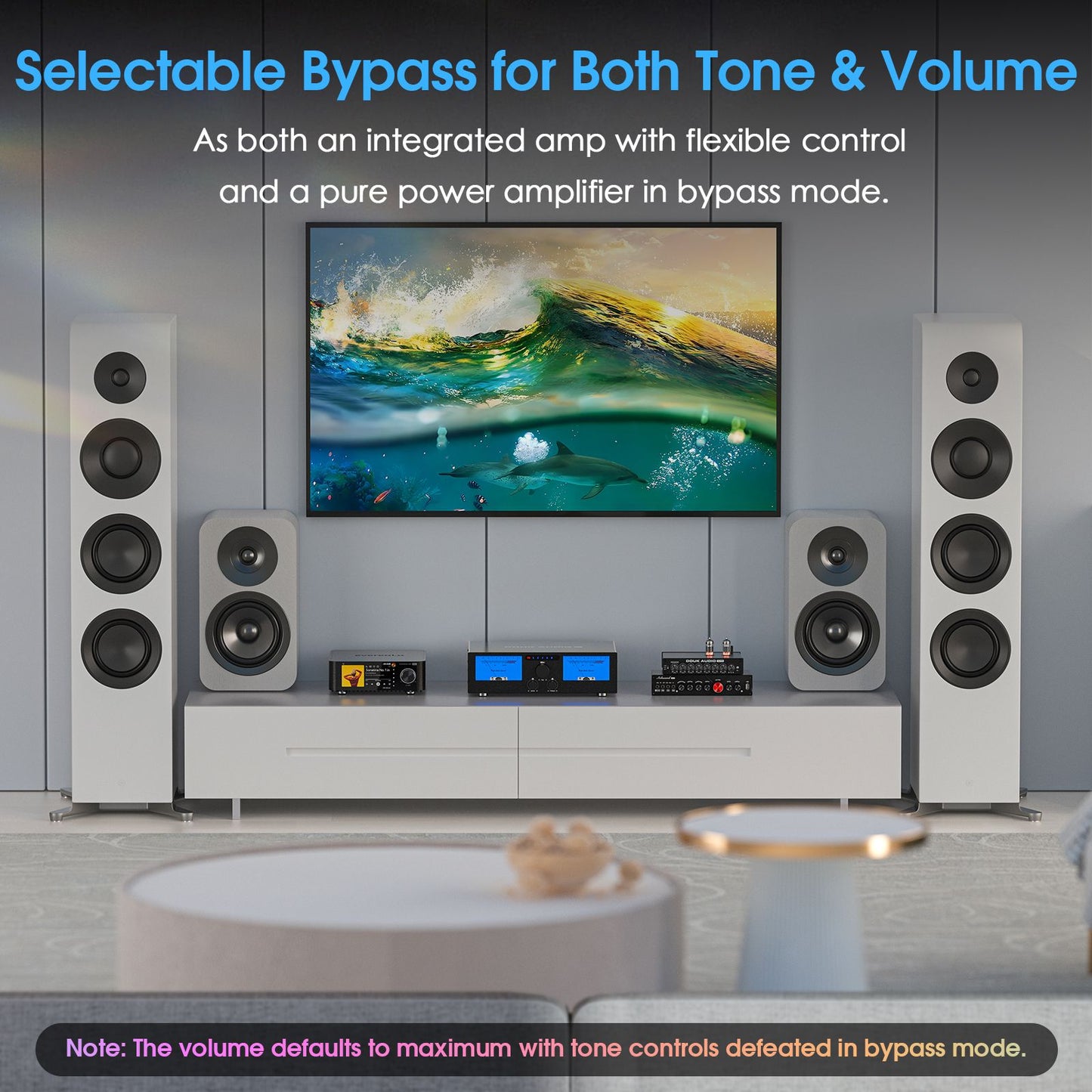 Douk Audio G7 TPA3255 Digital Power Amplifier - view 5