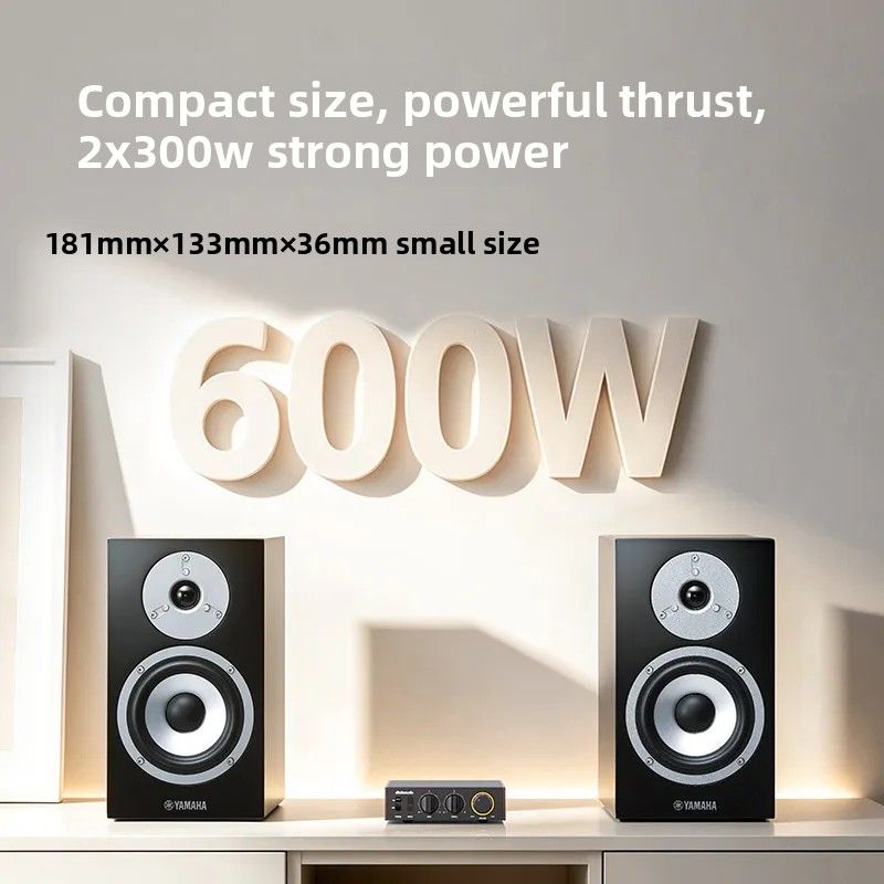 FiiO Horizon Level 1 Desktop Stereo Amplifier