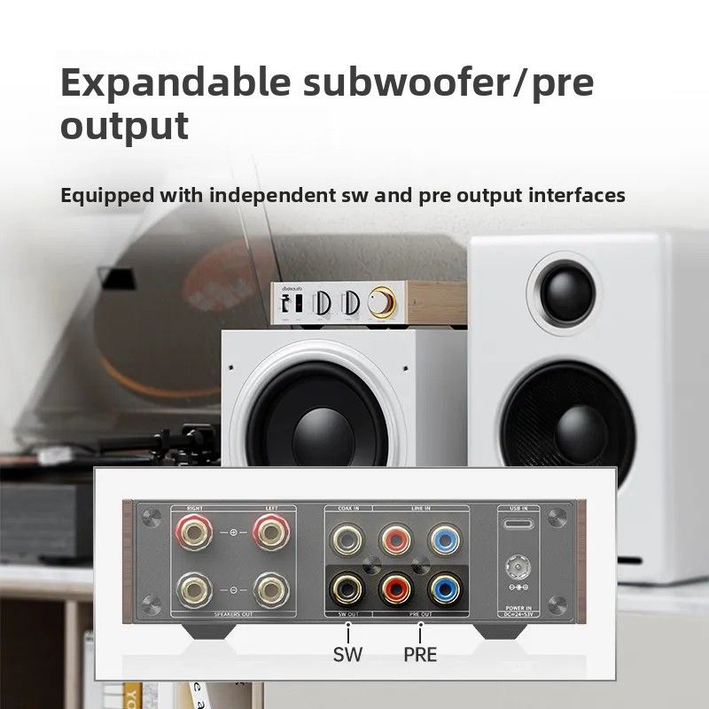 FiiO Horizon Level 1 Desktop Stereo Amplifier