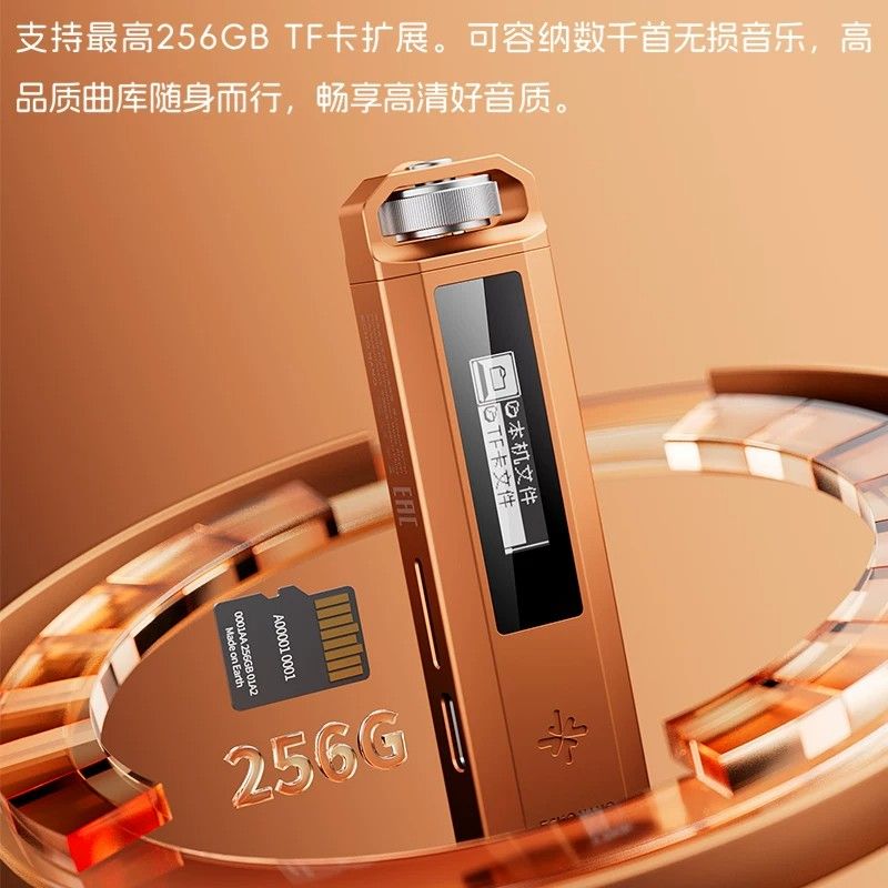 FiiO Snowsky Echo Nano Music Player — CS43131, USB DAC