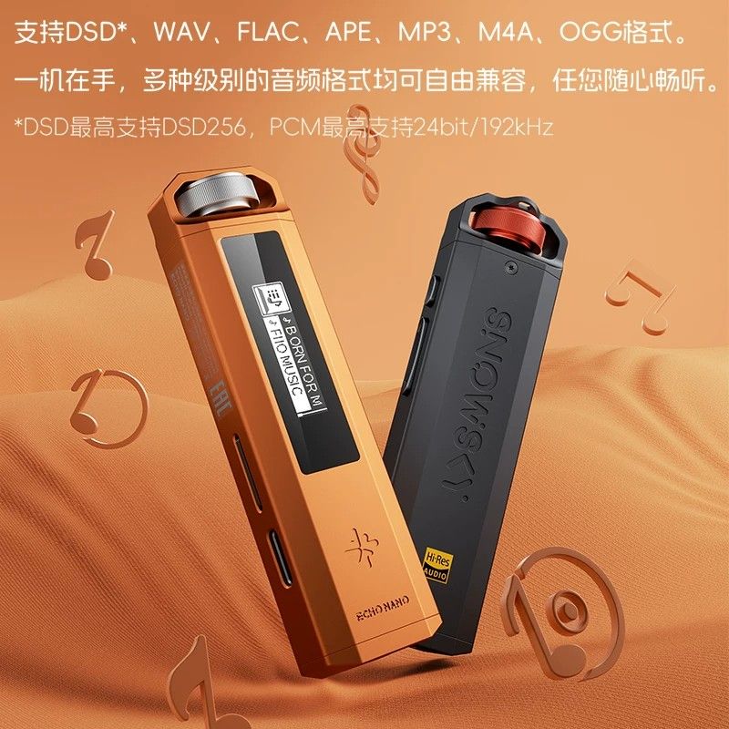 FiiO Snowsky Echo Nano Music Player — CS43131, USB DAC