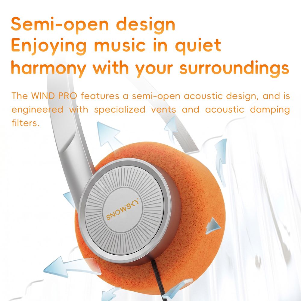 FiiO Wind Pro Retro Wired Earbuds