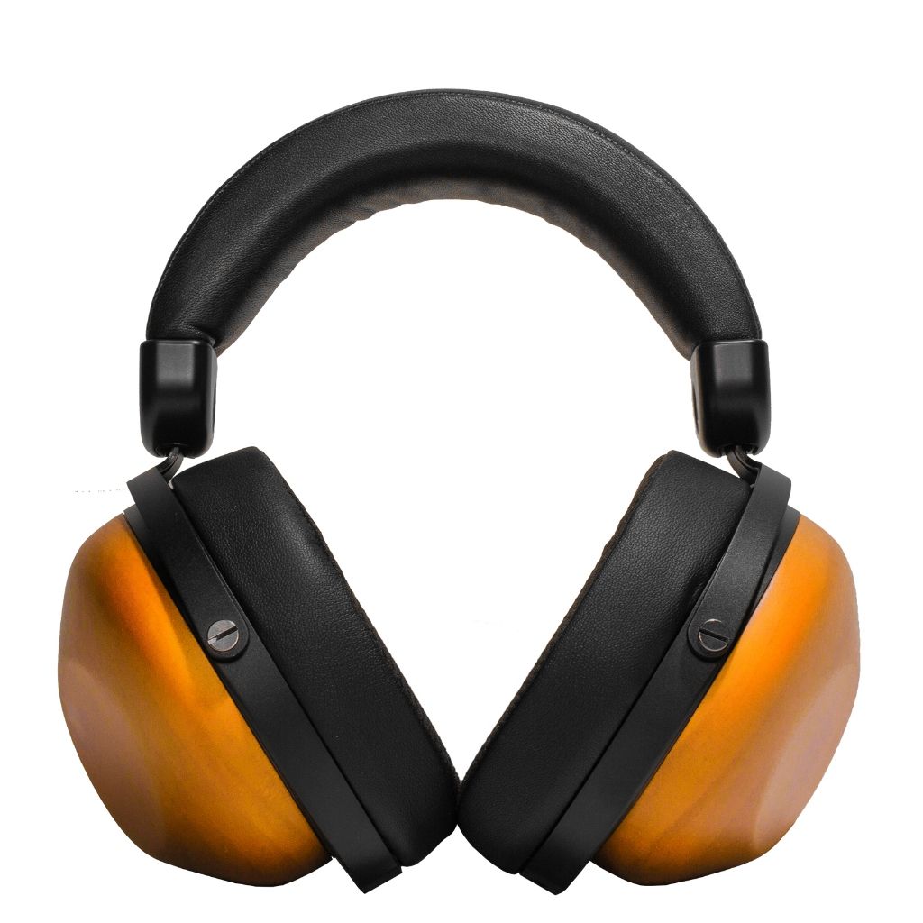 HIFIMAN HE-R10D Wired Dynamic Closed-Back Headphones