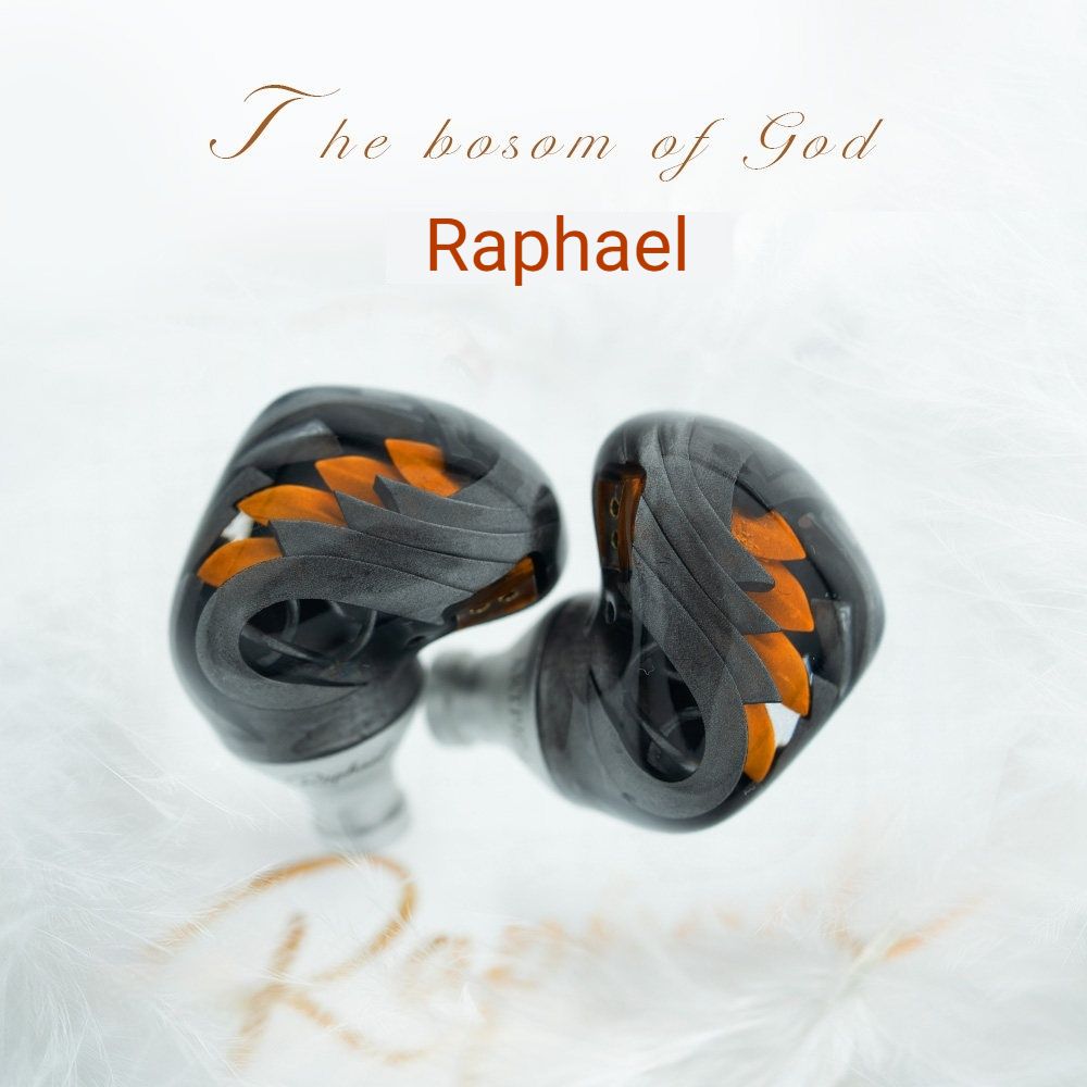 Artpical Raphael Wired IEMs - view 4