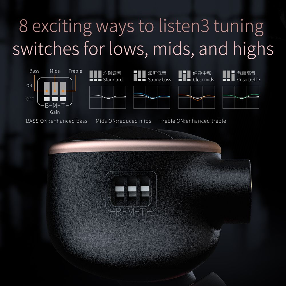 FiiO FH5s Hybrid 2BA+2DD In-Ear Monitors