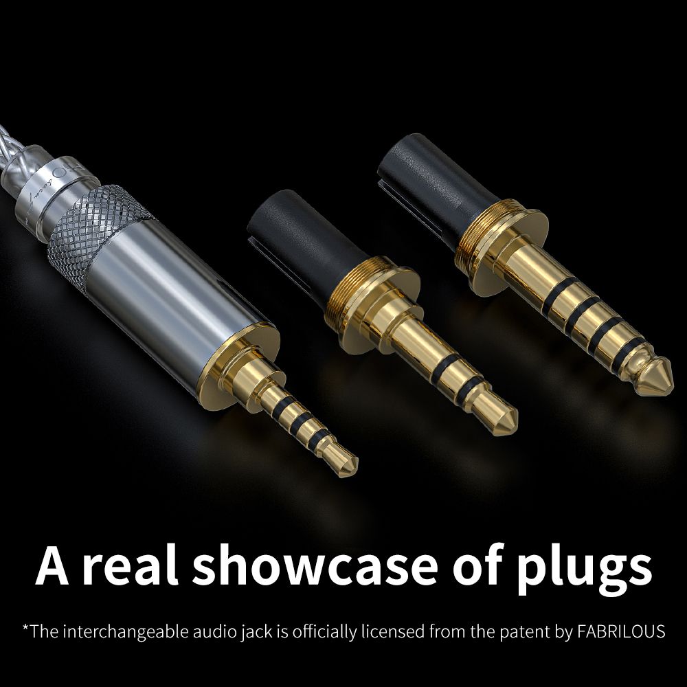 FiiO FH5s Hybrid 2BA+2DD In-Ear Monitors