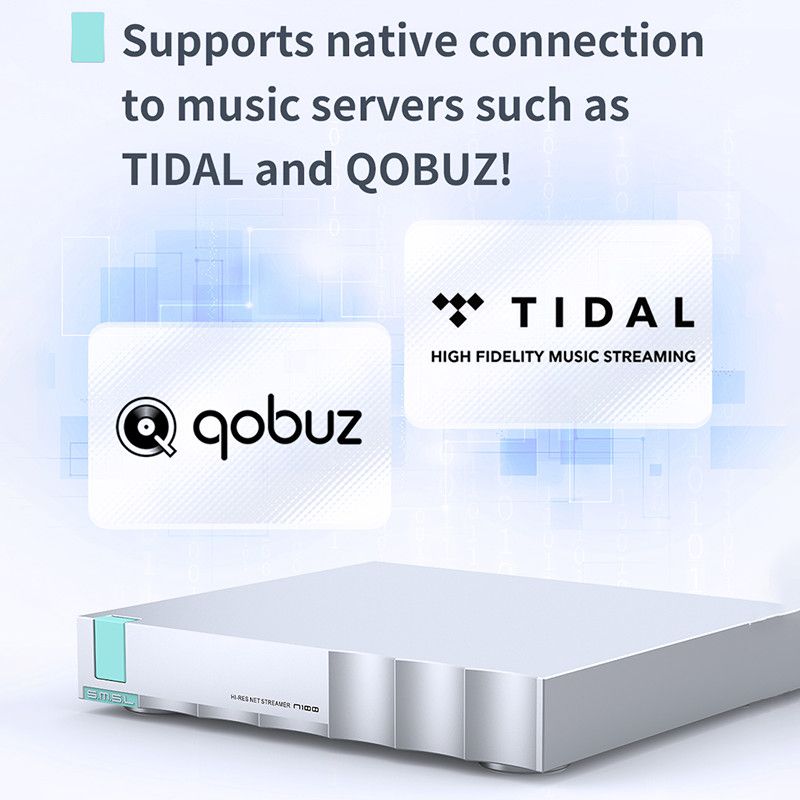 SMSL N100 Hi-Res Network Streamer