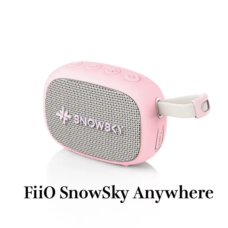 FiiO Snowsky Anywhere Portable Bluetooth Speaker